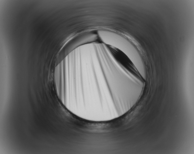 X0000083031193200703022019