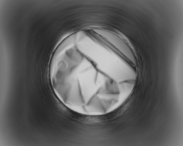 X0000083031194200703022019