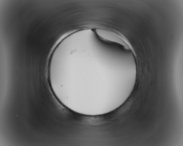 X0000083031195200703022019