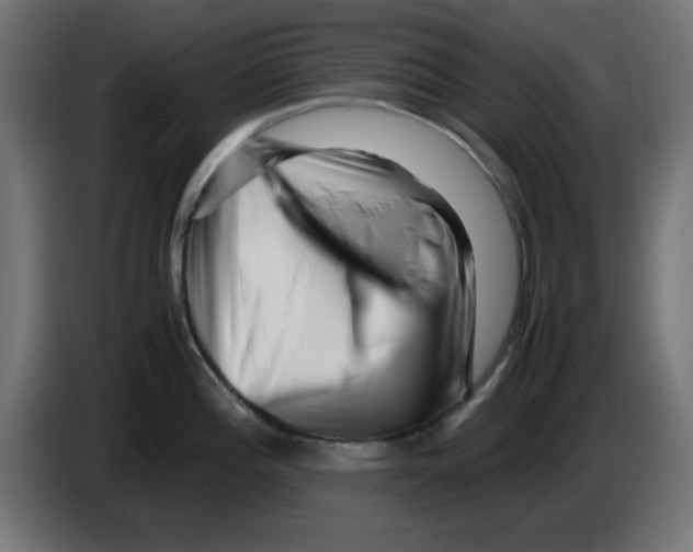 X0000083031196200703022019