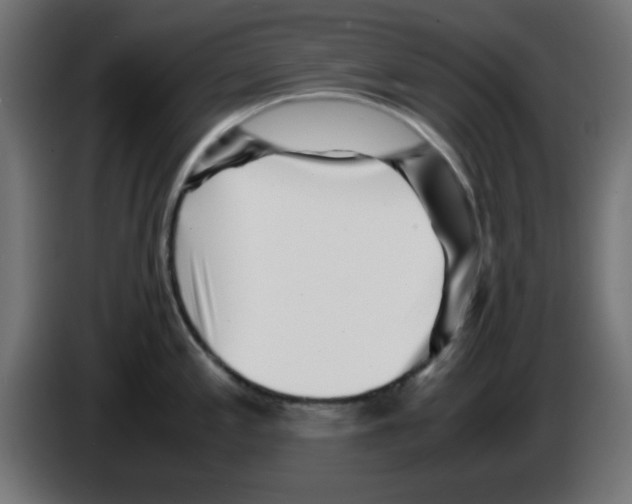 X0000083031197200703022019