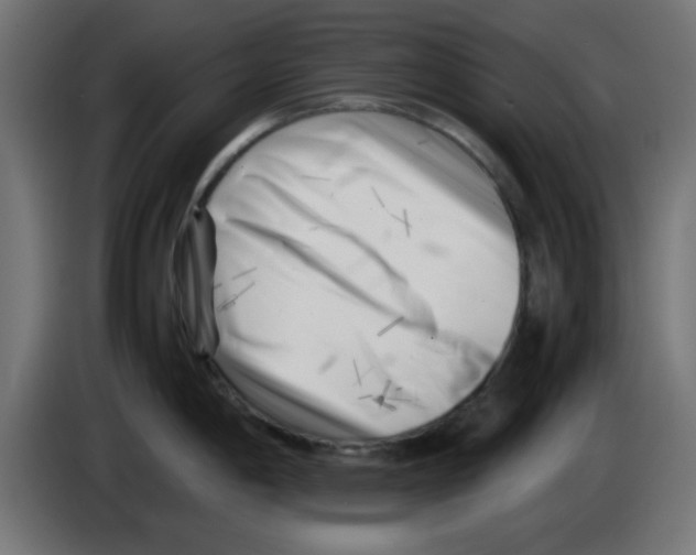 X0000083031198200703022019