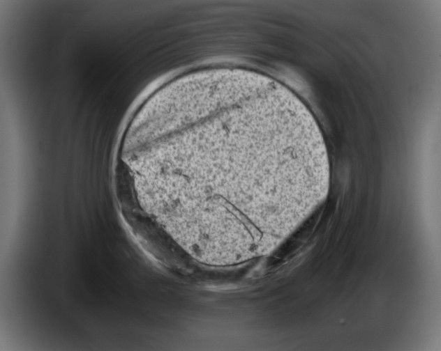 X0000083031199200703022019