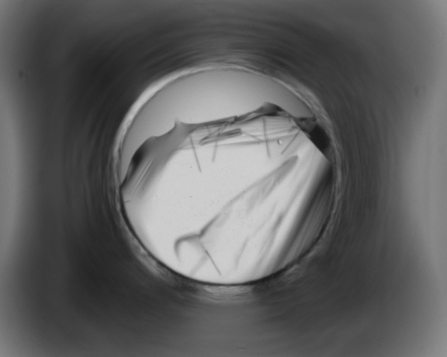 X0000083031200200703022019