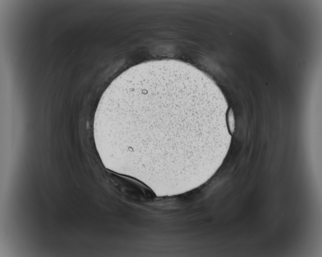 X0000083031201200703022018