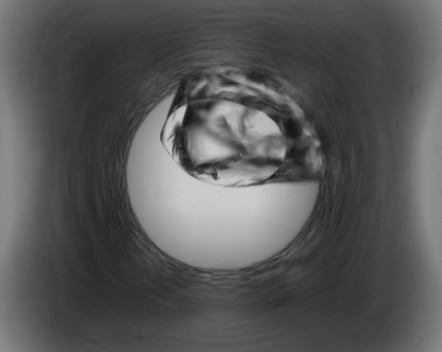 X0000083031202200703022018