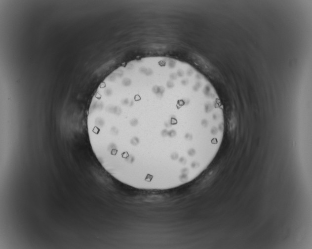 X0000083031204200703022018