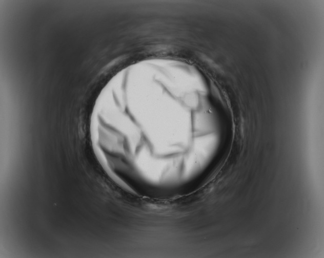 X0000083031206200703022018