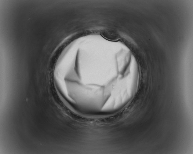 X0000083031208200703022018