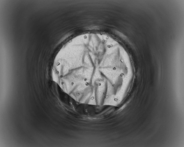 X0000083031209200703022018