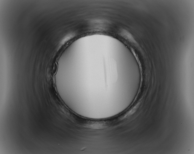 X0000083031210200703022018