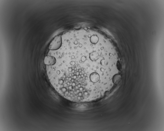 X0000083031211200703022018