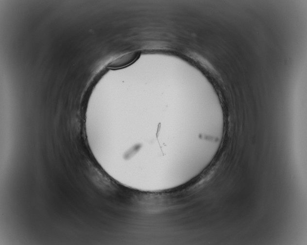 X0000083031212200703022018