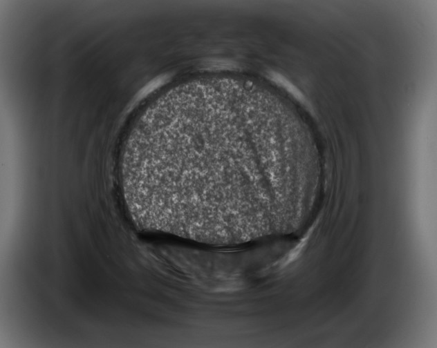 X0000083031213200703022018