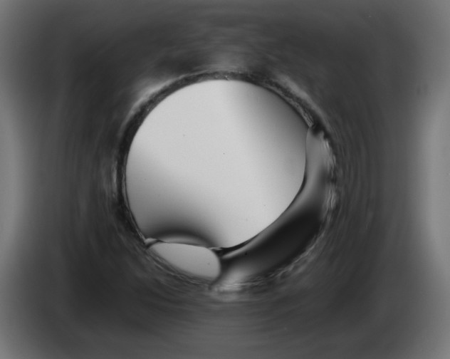 X0000083031214200703022018