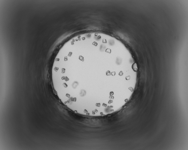 X0000083031215200703022018