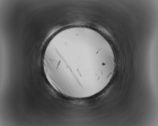 X0000083031216200703022018