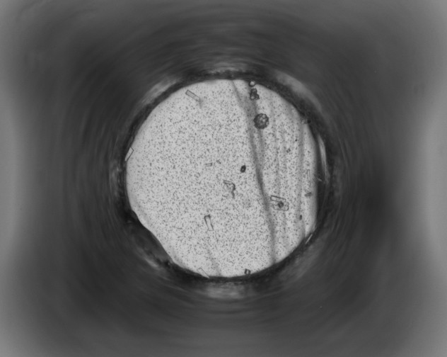 X0000083031217200703022018