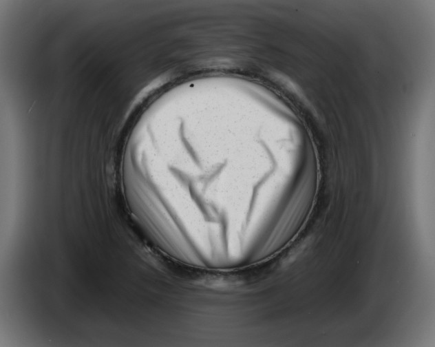 X0000083031218200703022019