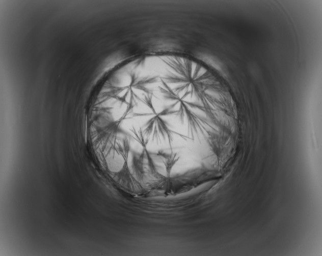 X0000083031219200703022019