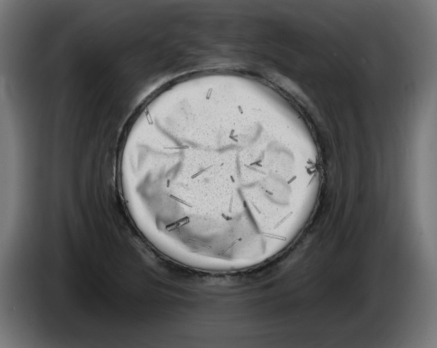 X0000083031220200703022019