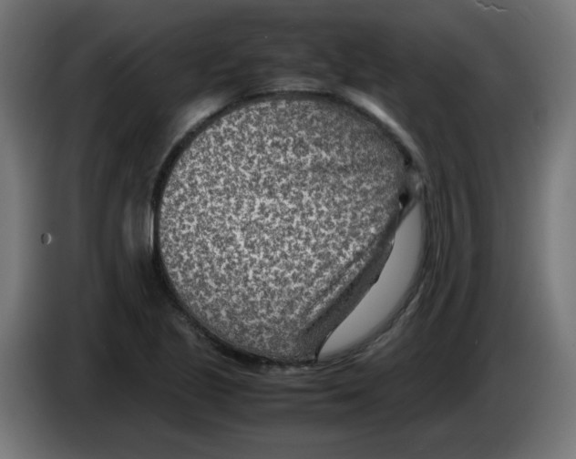 X0000083031221200703022019