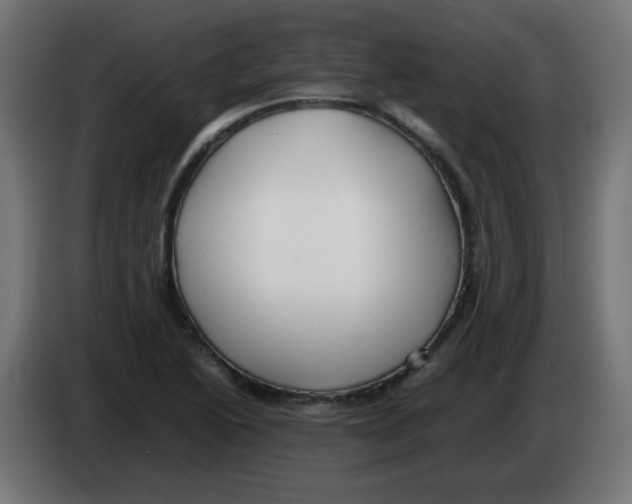 X0000083031222200703022019