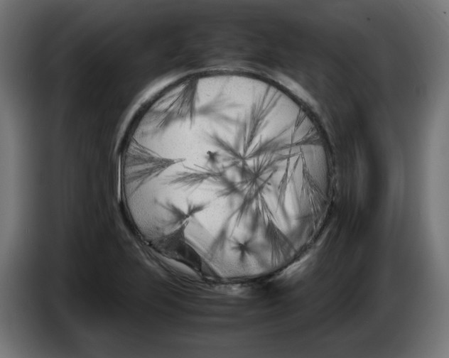 X0000083031223200703022019