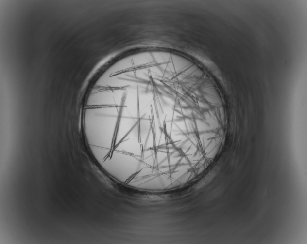 X0000083031224200703022019