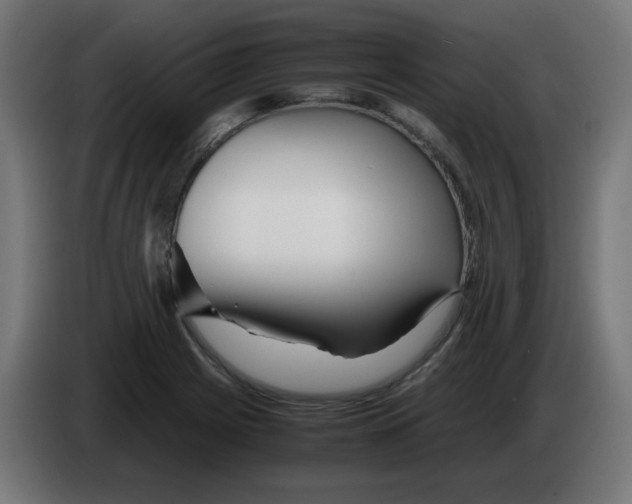 X0000083031225200703022019