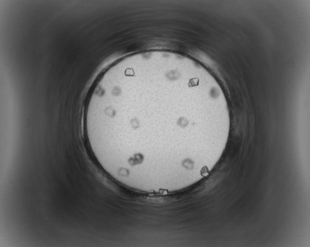 X0000083031227200703022019