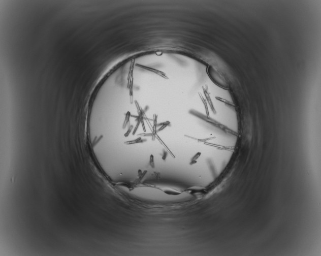 X0000083031228200703022019