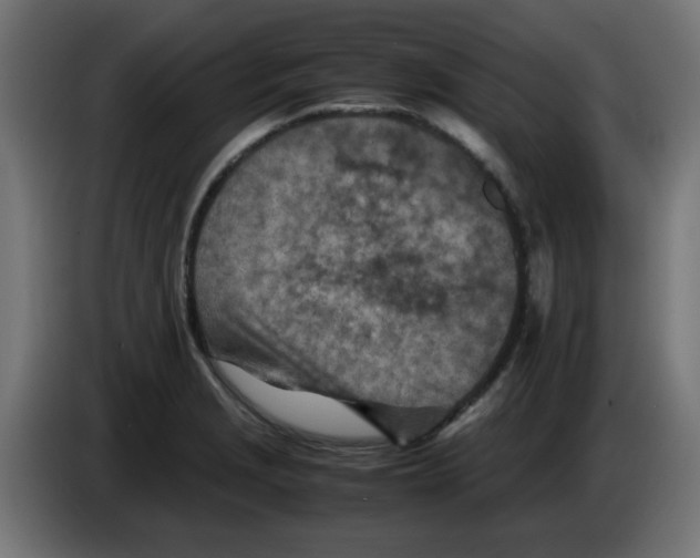 X0000083031229200703022019