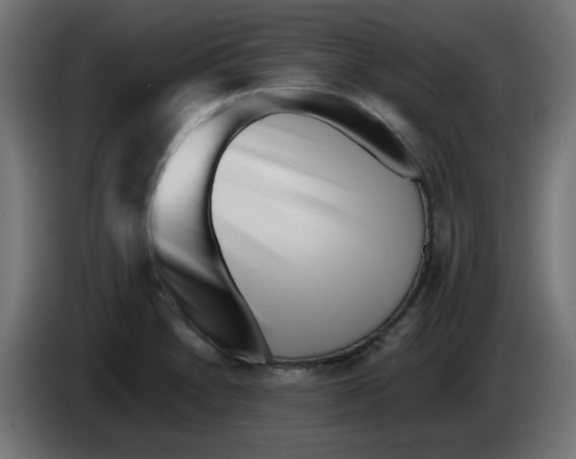 X0000083031230200703022019