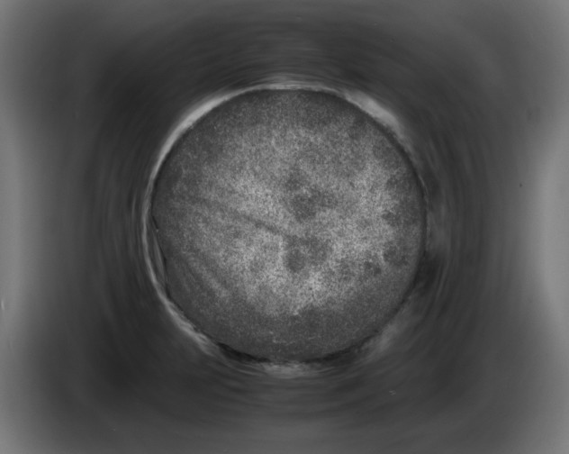 X0000083031231200703022019