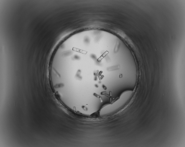 X0000083031232200703022019