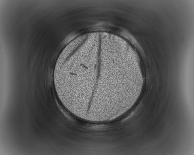 X0000083031233200703022019