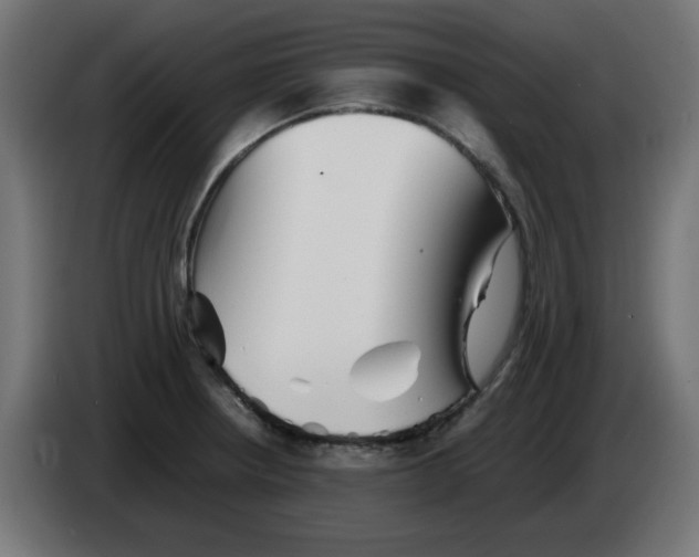 X0000083031234200703022019