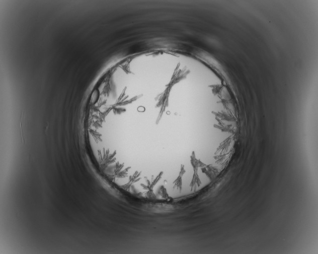 X0000083031235200703022019