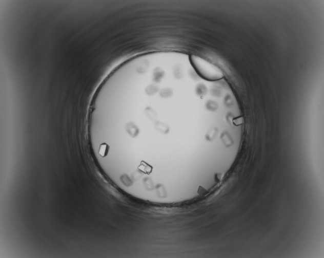 X0000083031236200703022019