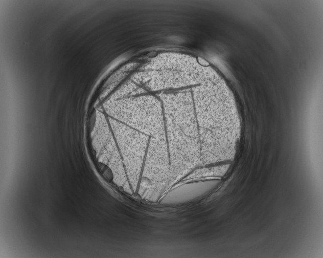 X0000083031237200703022019