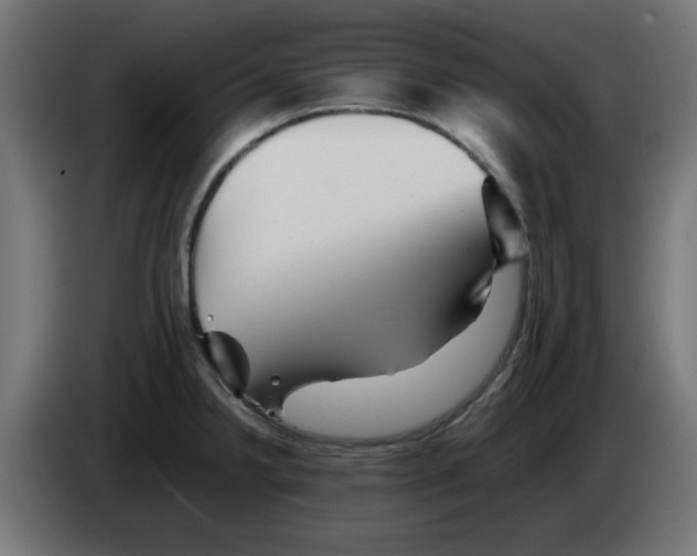 X0000083031238200703022019