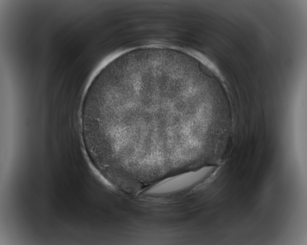 X0000083031239200703022019