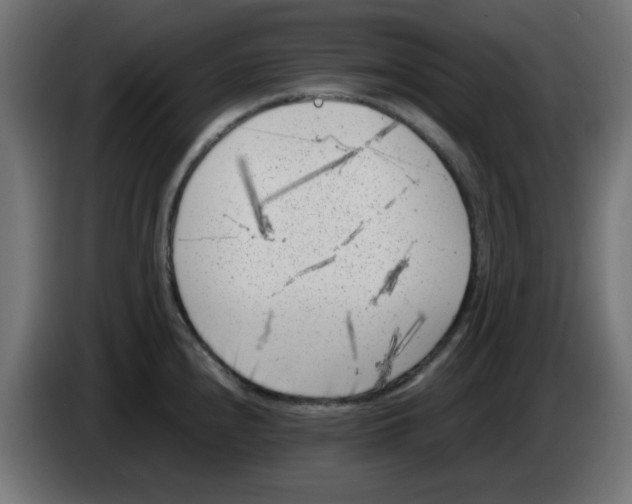 X0000083031240200703022019