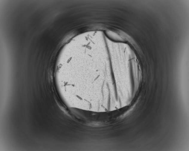 X0000083031241200703022019