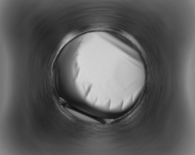 X0000083031242200703022019