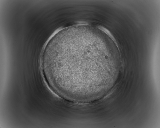 X0000083031243200703022019