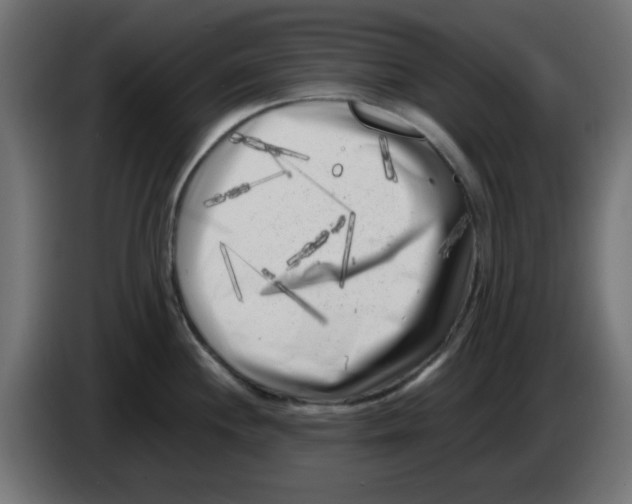 X0000083031244200703022019