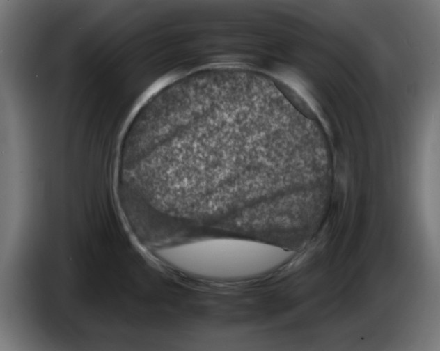 X0000083031245200703022019