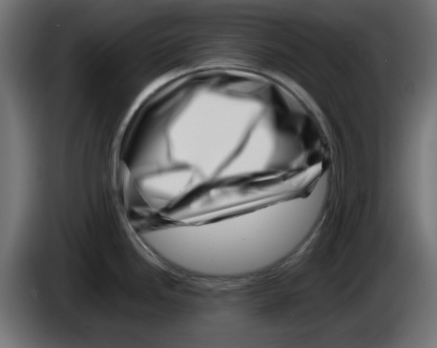 X0000083031246200703022019